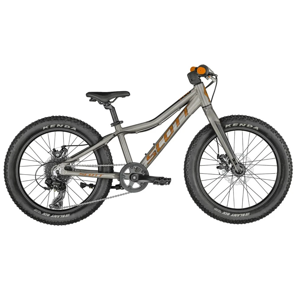 1. Bicicleta copii SCOTT Roxter 20 Silver Bike