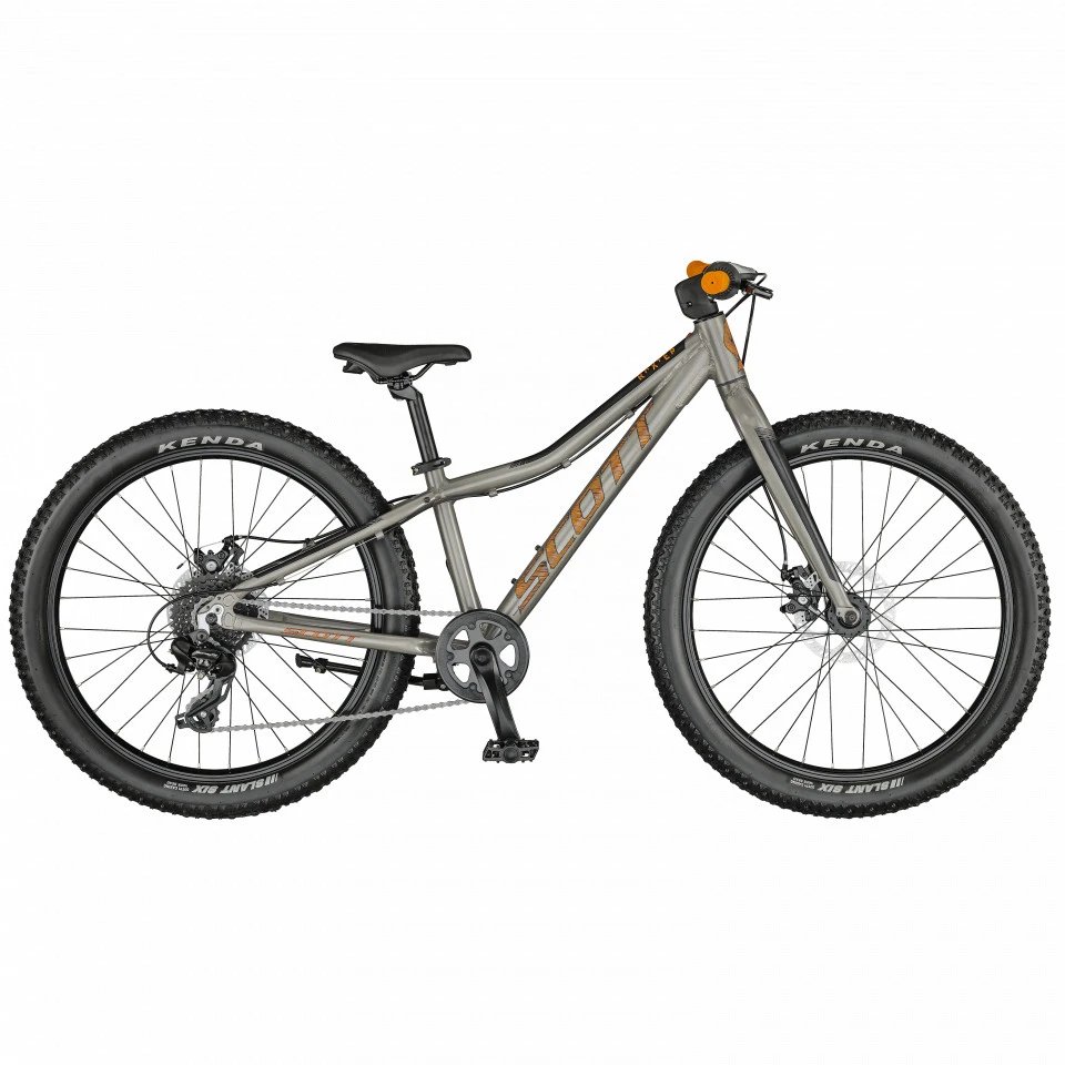 1. Bicicleta Copii SCOTT Roxter 24 Raw Alloy (KH)