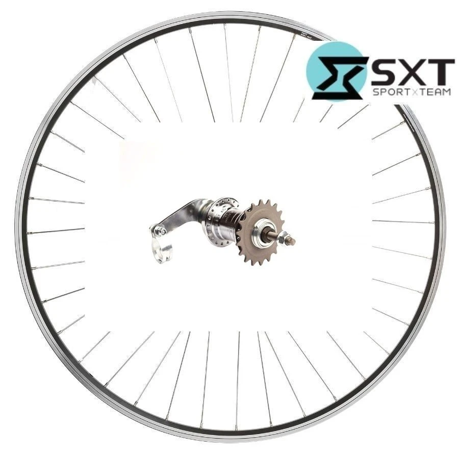 1. Roata Spate SXT BASIC 20'' - VELOSTEEL 36H (Pinion 18T)