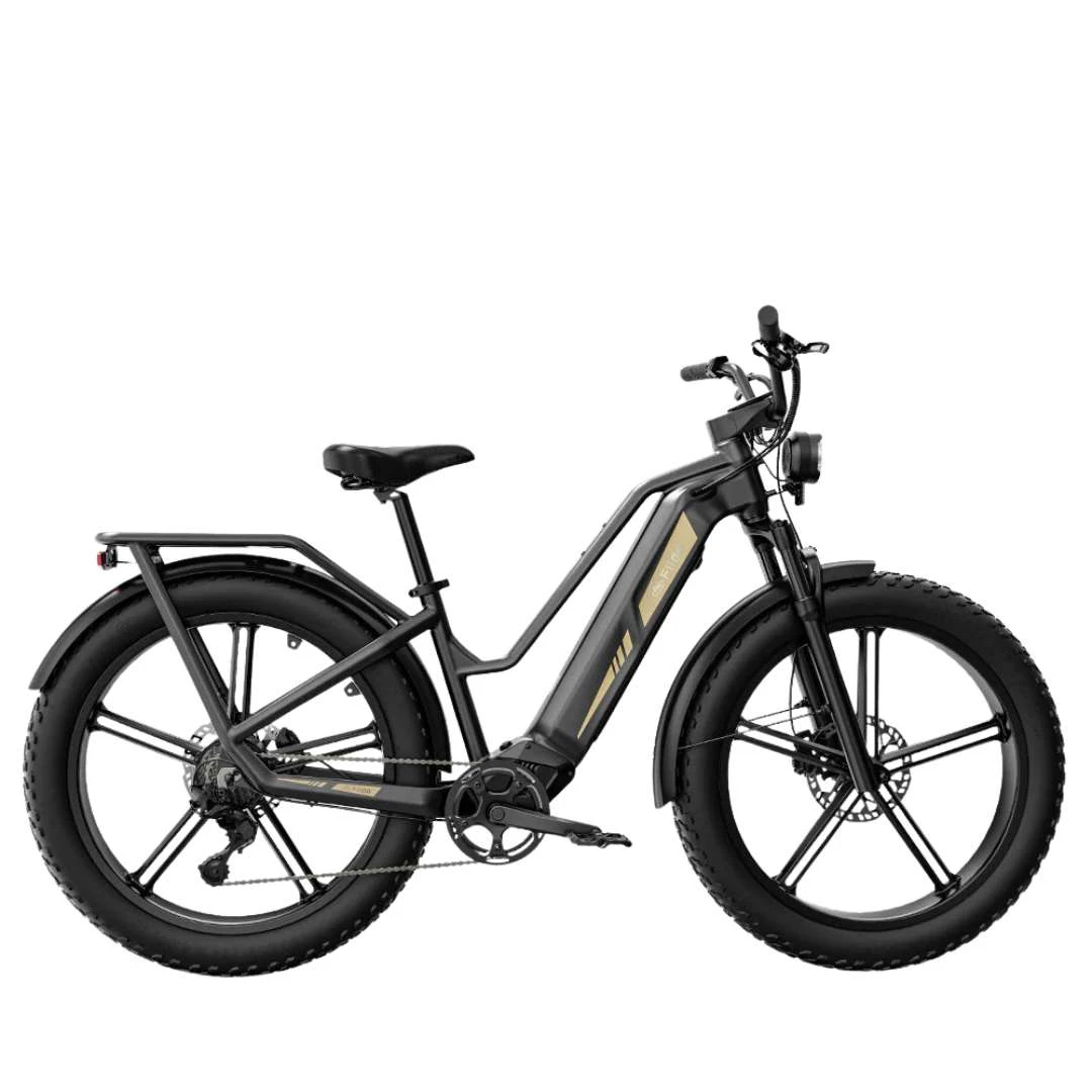 1. Fiido Titan Talla L Gris Bicicleta Eléctrica 140km Bateria 700WH