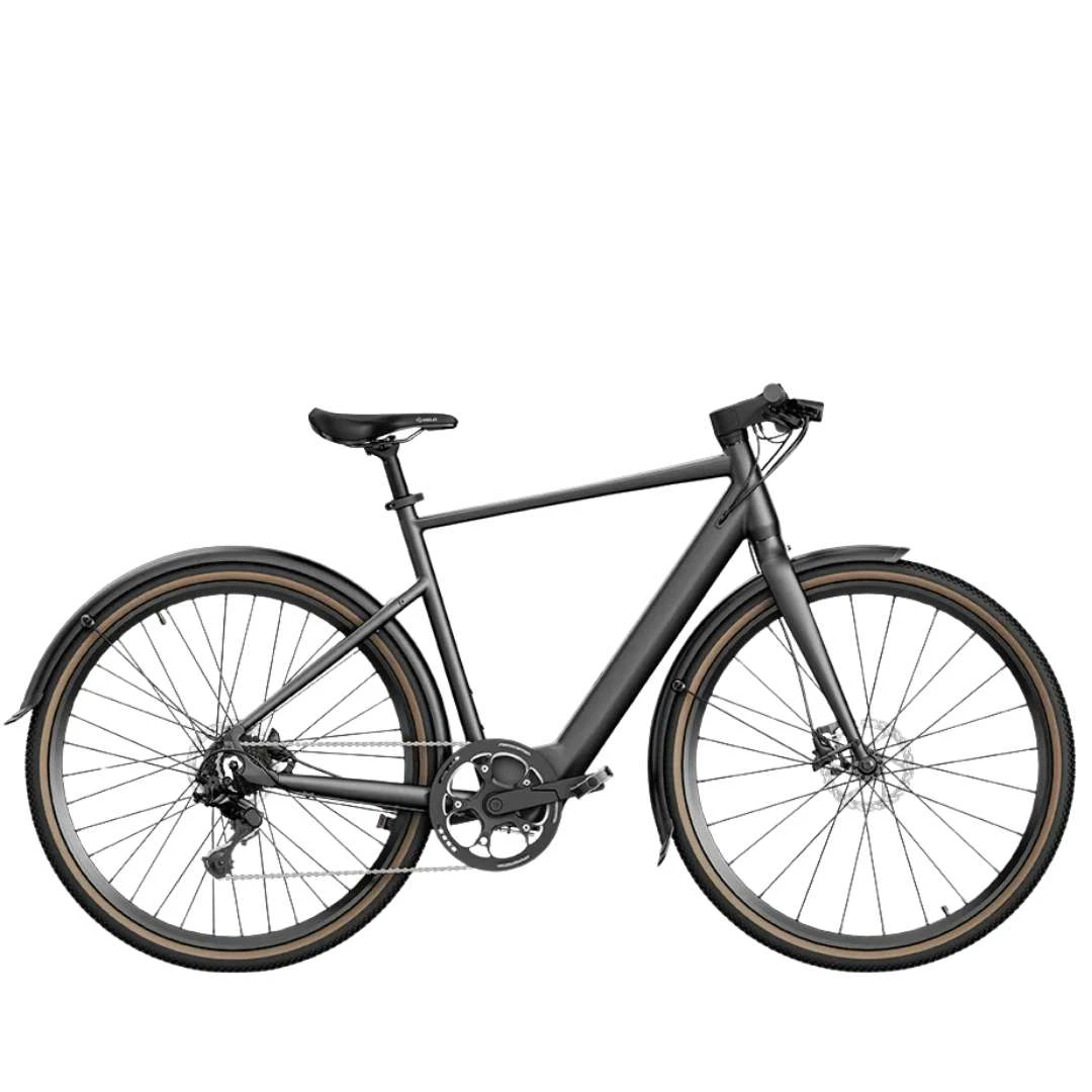 1. Fiido C21 - 9v Talla L Gris Bicicleta Electrica Ocasión Ciudad