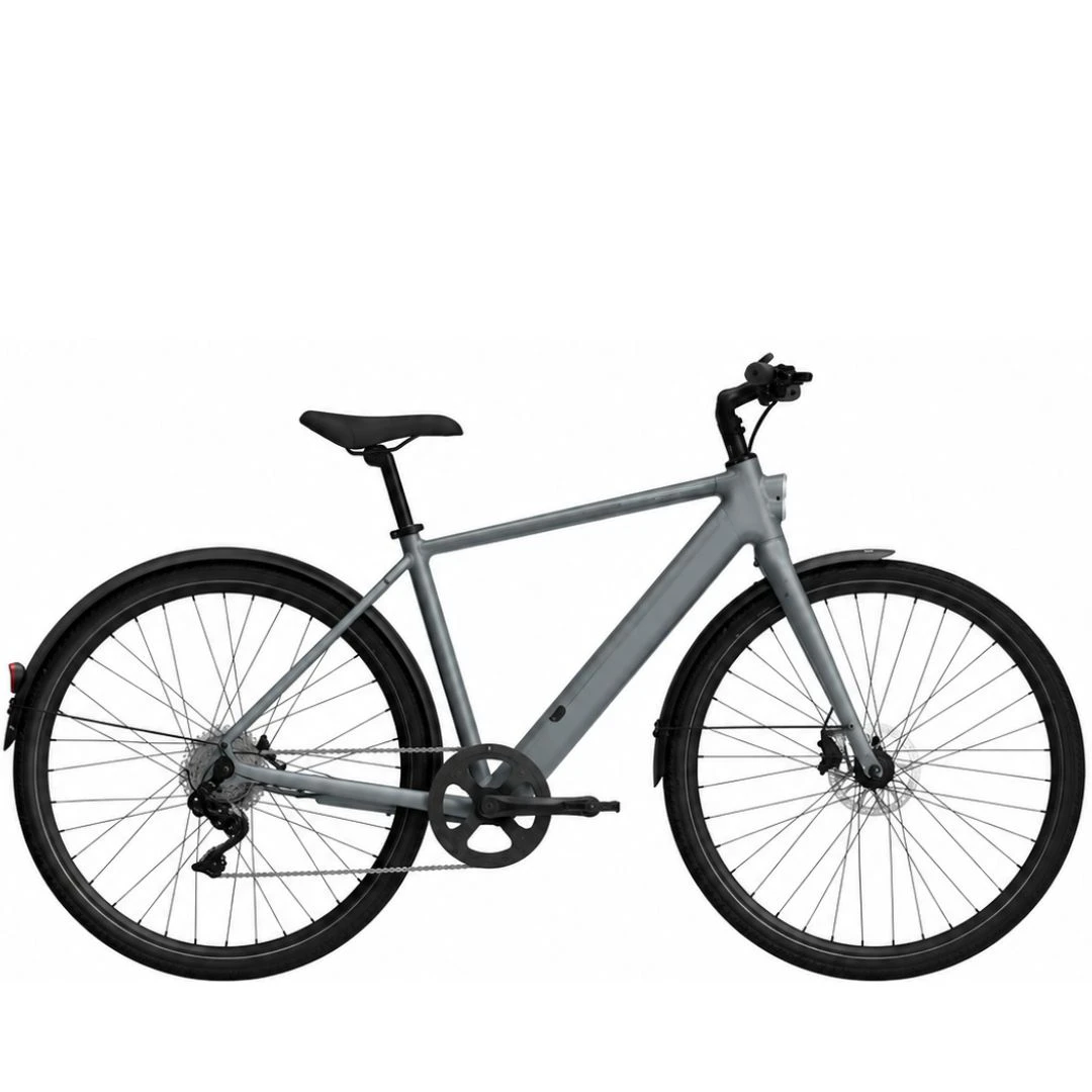 1. TENWAYS CGO600 PLUS Talla XL Gris Bicicleta Urbana Ocasion
