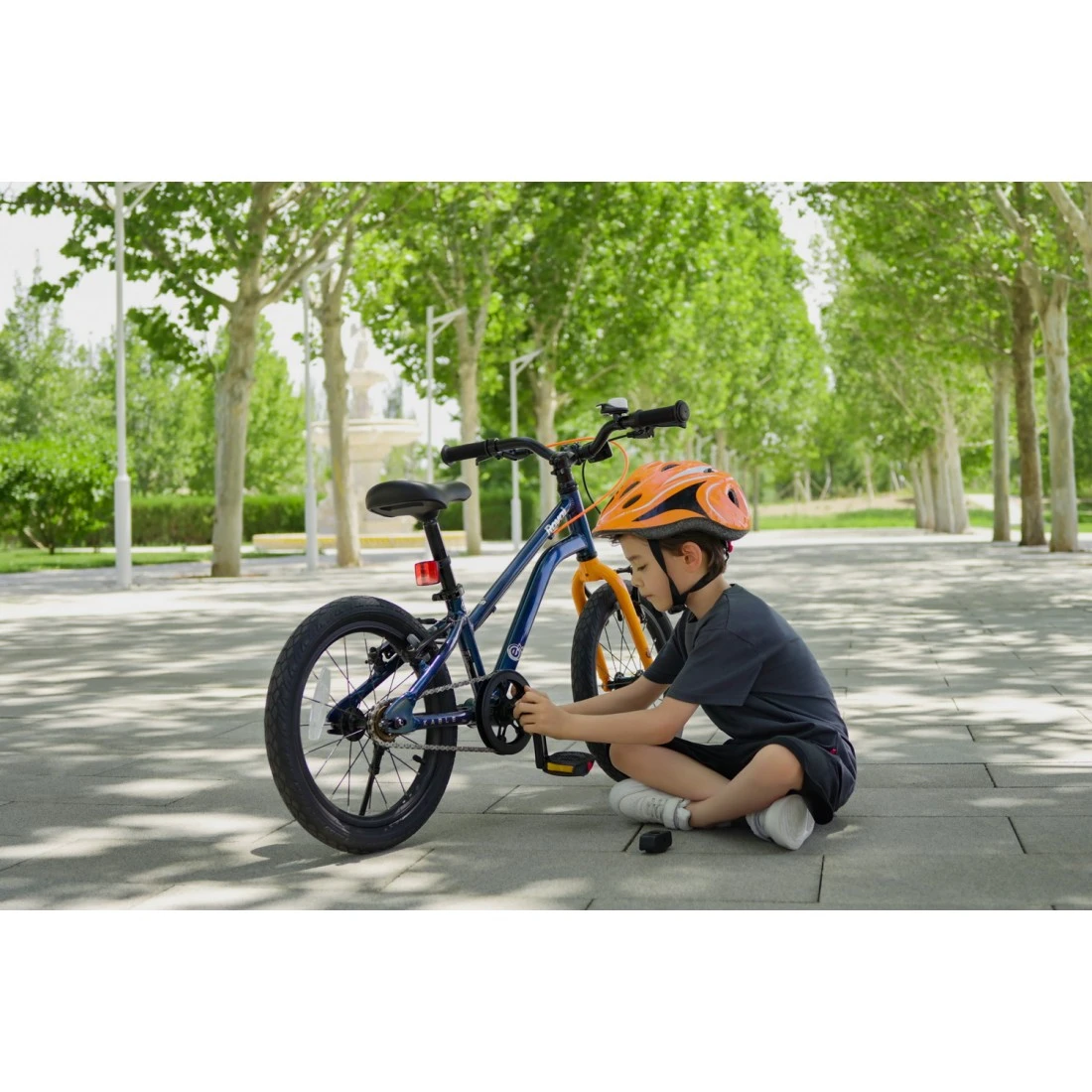 3. Bicicleta Royal Baby Kable-EZ, 14 inch, Auriu Auriu