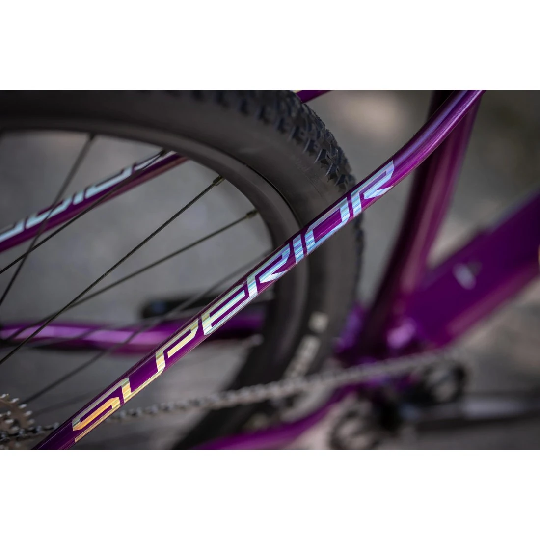 5. Bicicleta Superior XP 909 29 Gloss Violet hologram Chrome 44cm (M) 44cm, Mov/Argintiu