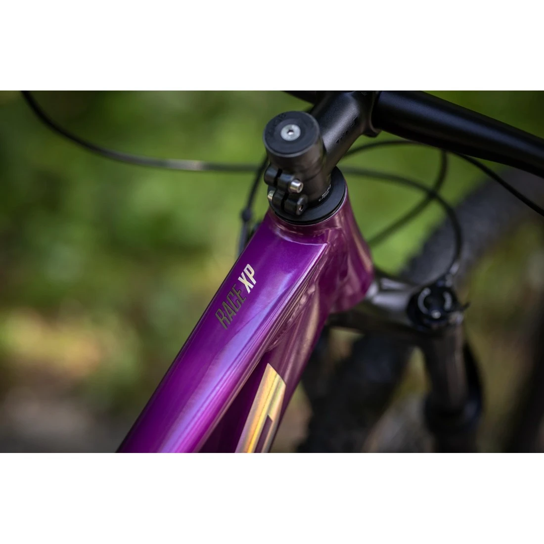 4. Bicicleta Superior XP 909 29 Gloss Violet hologram Chrome 44cm (M) 44cm, Mov/Argintiu