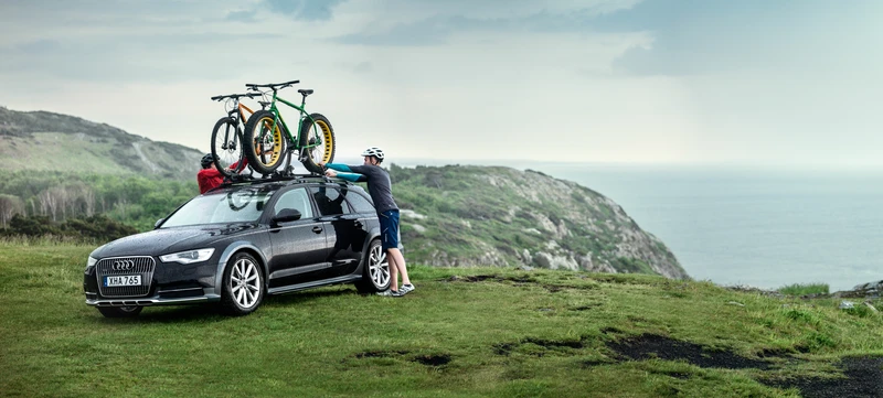10. Suport biciclete THULE ProRide 598 - Silver