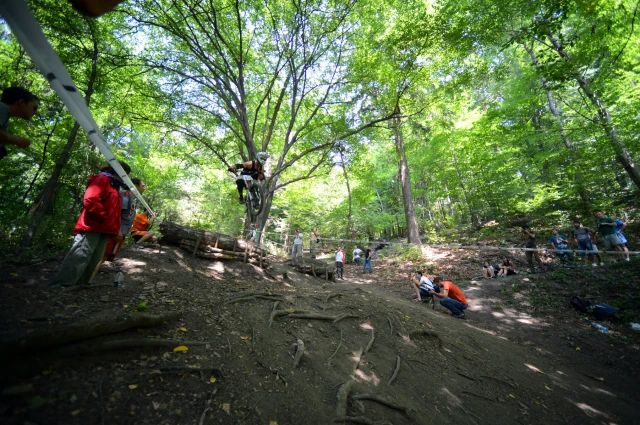 Tare Ca Piatra 2012 - galerie cu imagini din finală