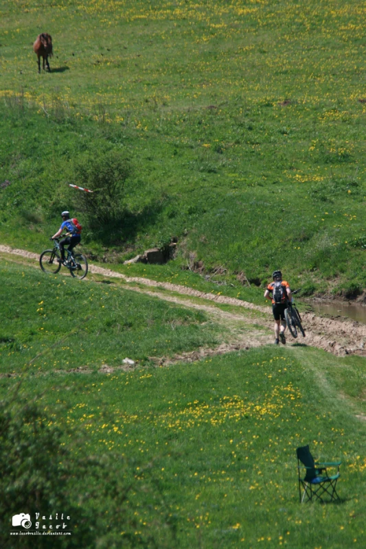 My Race - Iasi
