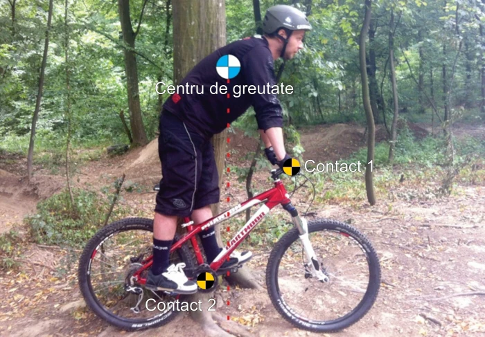 Trail bikes și geometria: Wheelbase și înălțimea BB-ului