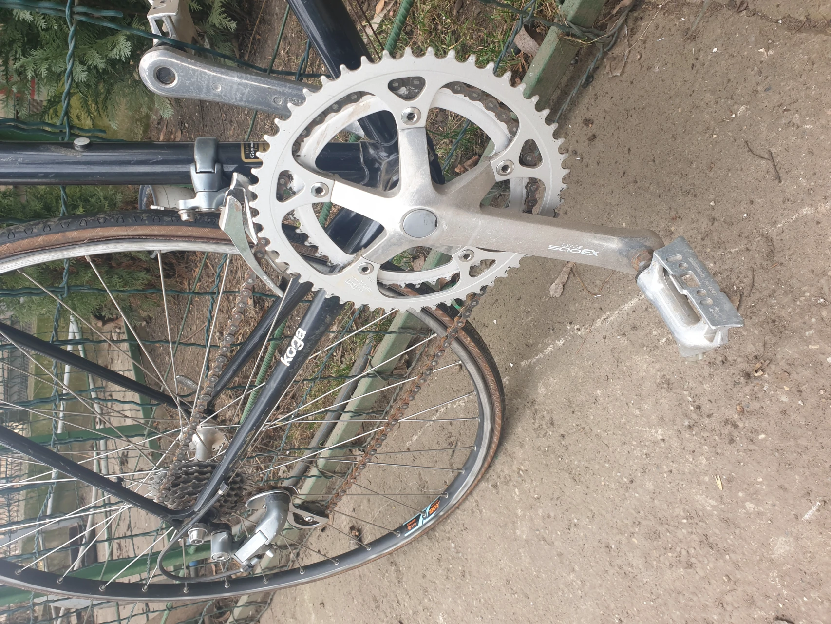 1. Cursiera Vitange Koga-miyata