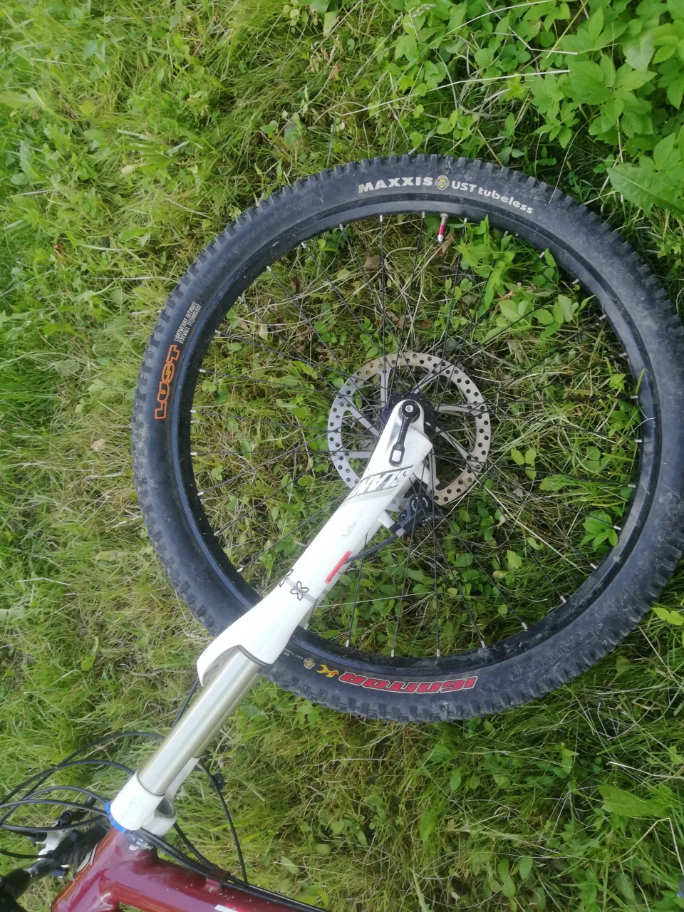 6. Vand cannondale