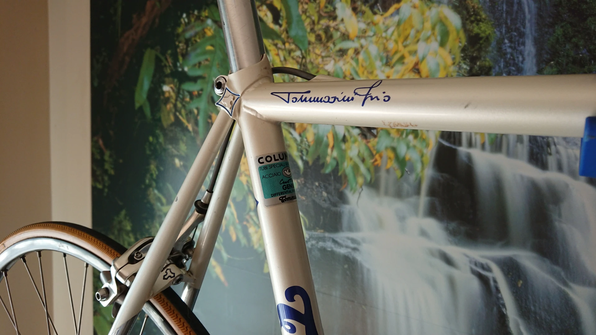 8. Cursiera Tommasini