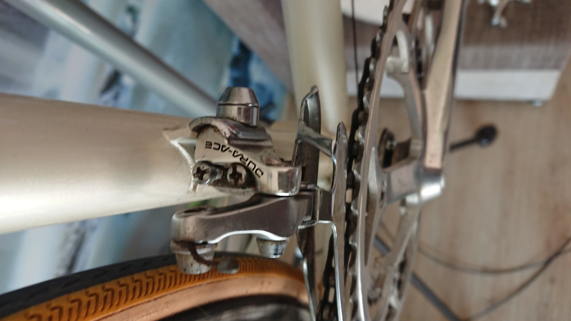 3. Cursiera Tommasini