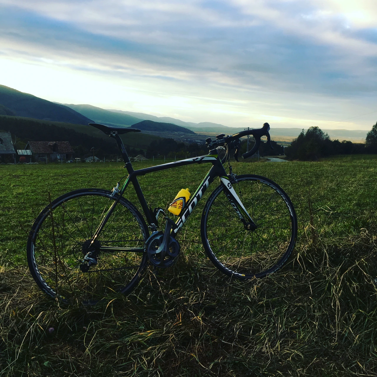 1. Scott Cr1
