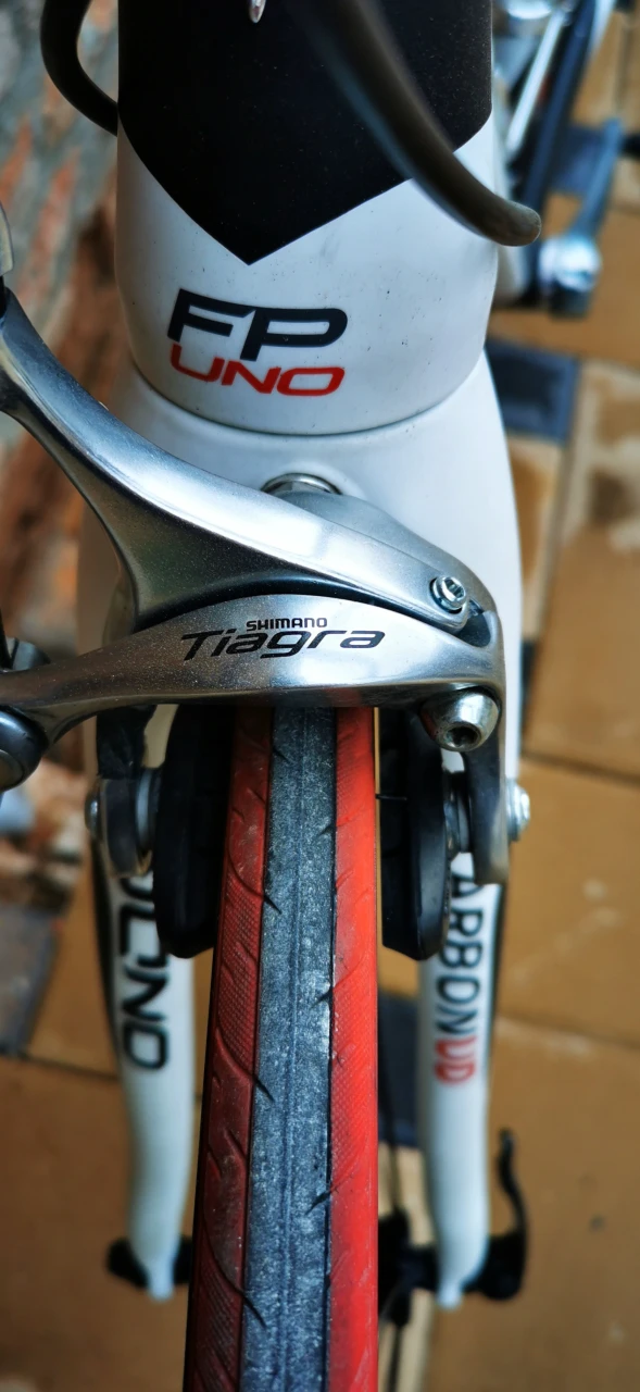 7. Cursiera Pinarello