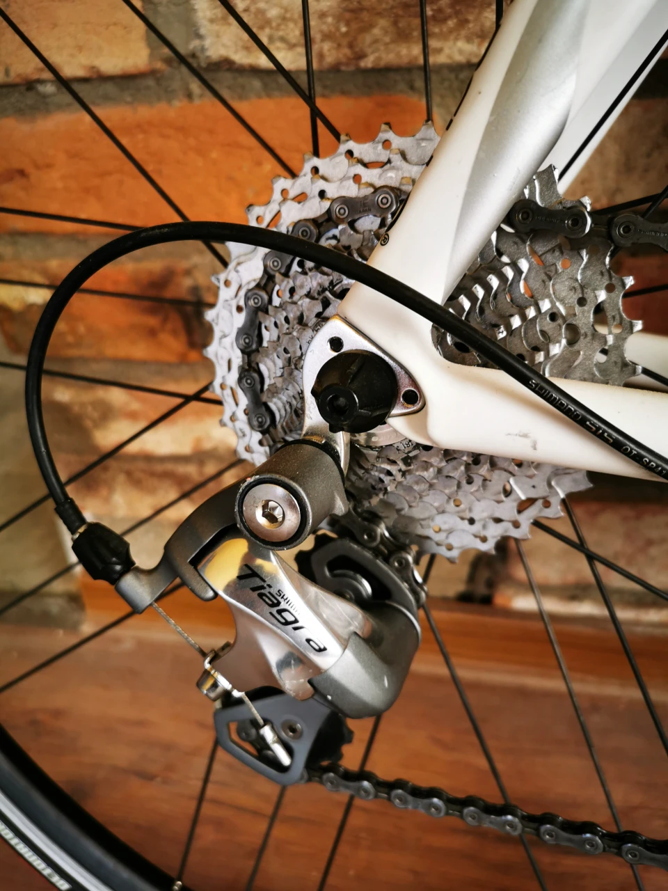 4. Cursiera Pinarello