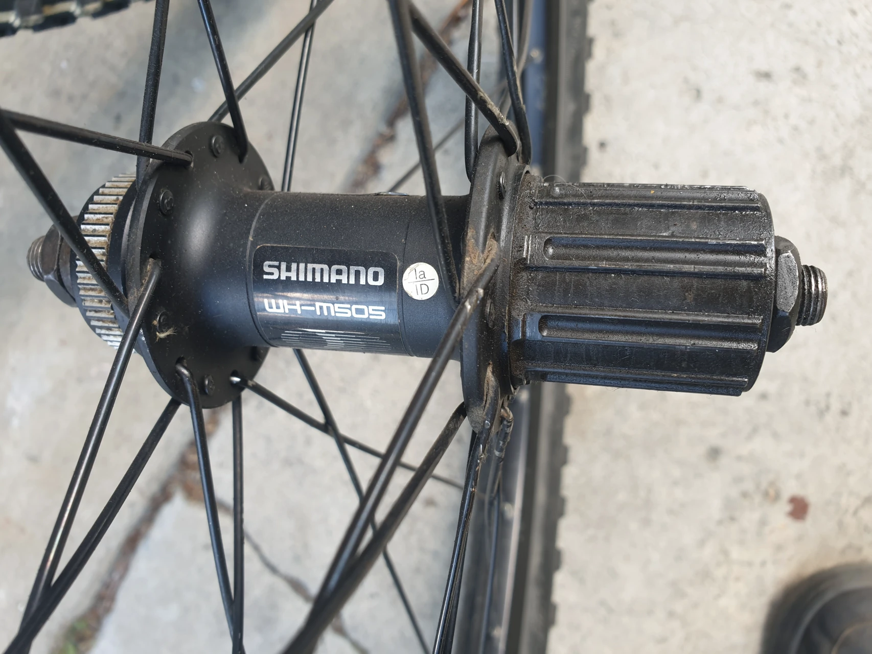 1. Roti Shimano