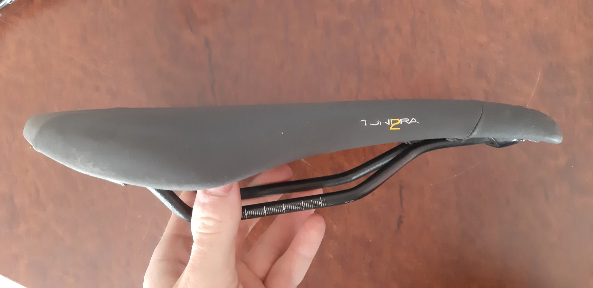 1. Fizik tunddra2