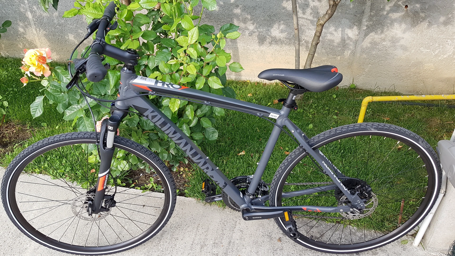 6. Bicicleta X-Fact Cross Pro 2019