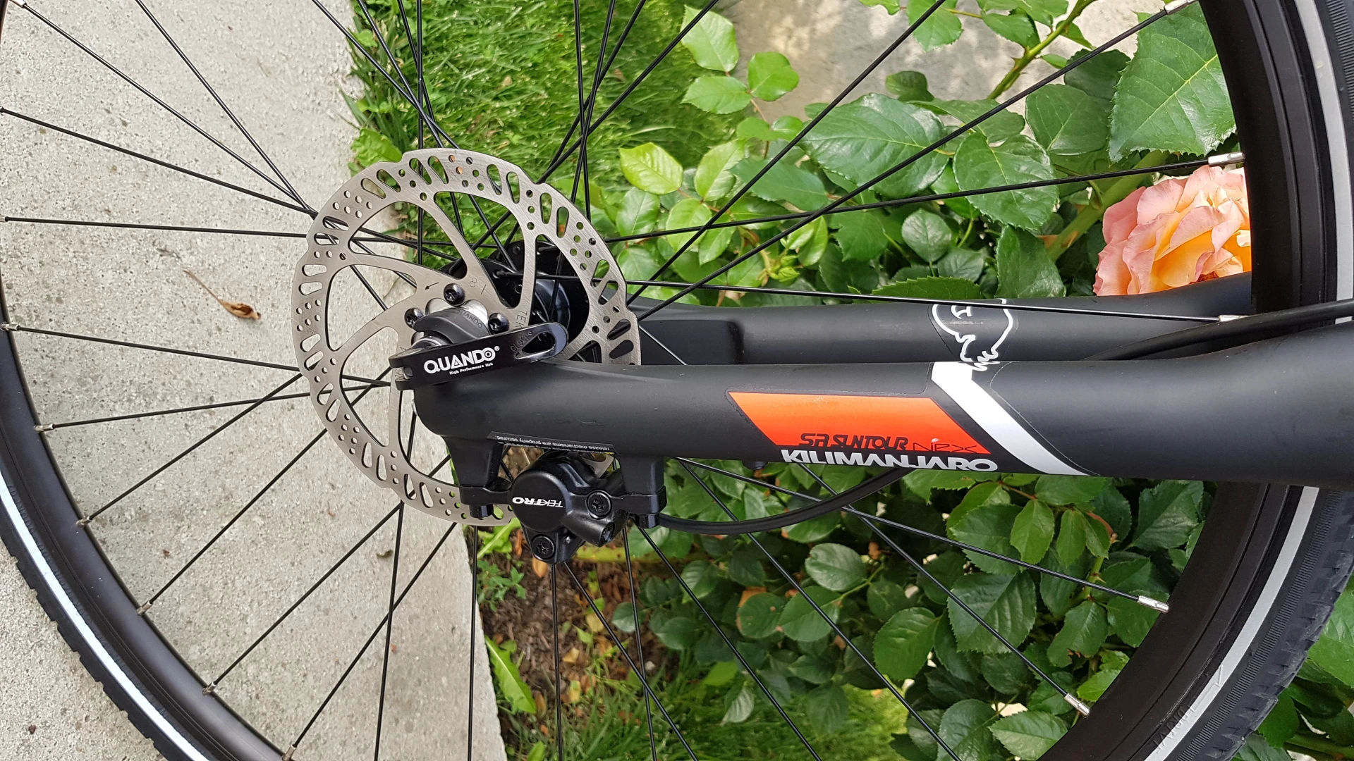 5. Bicicleta X-Fact Cross Pro 2019