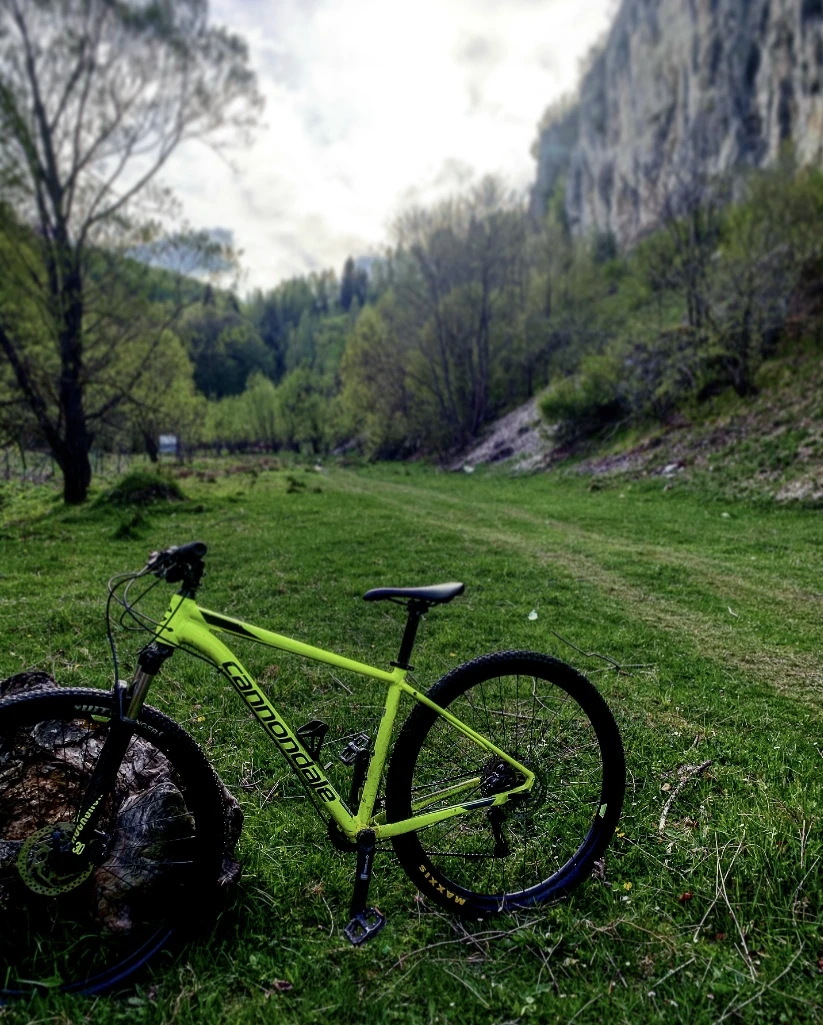 1. Cannondale Trail 4, 2019