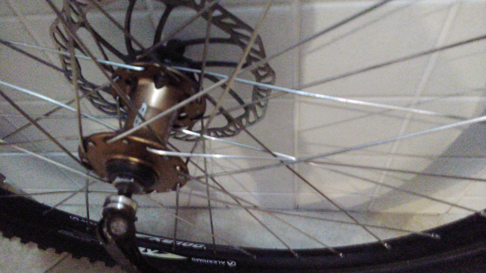 1. Roara fata MTB 26