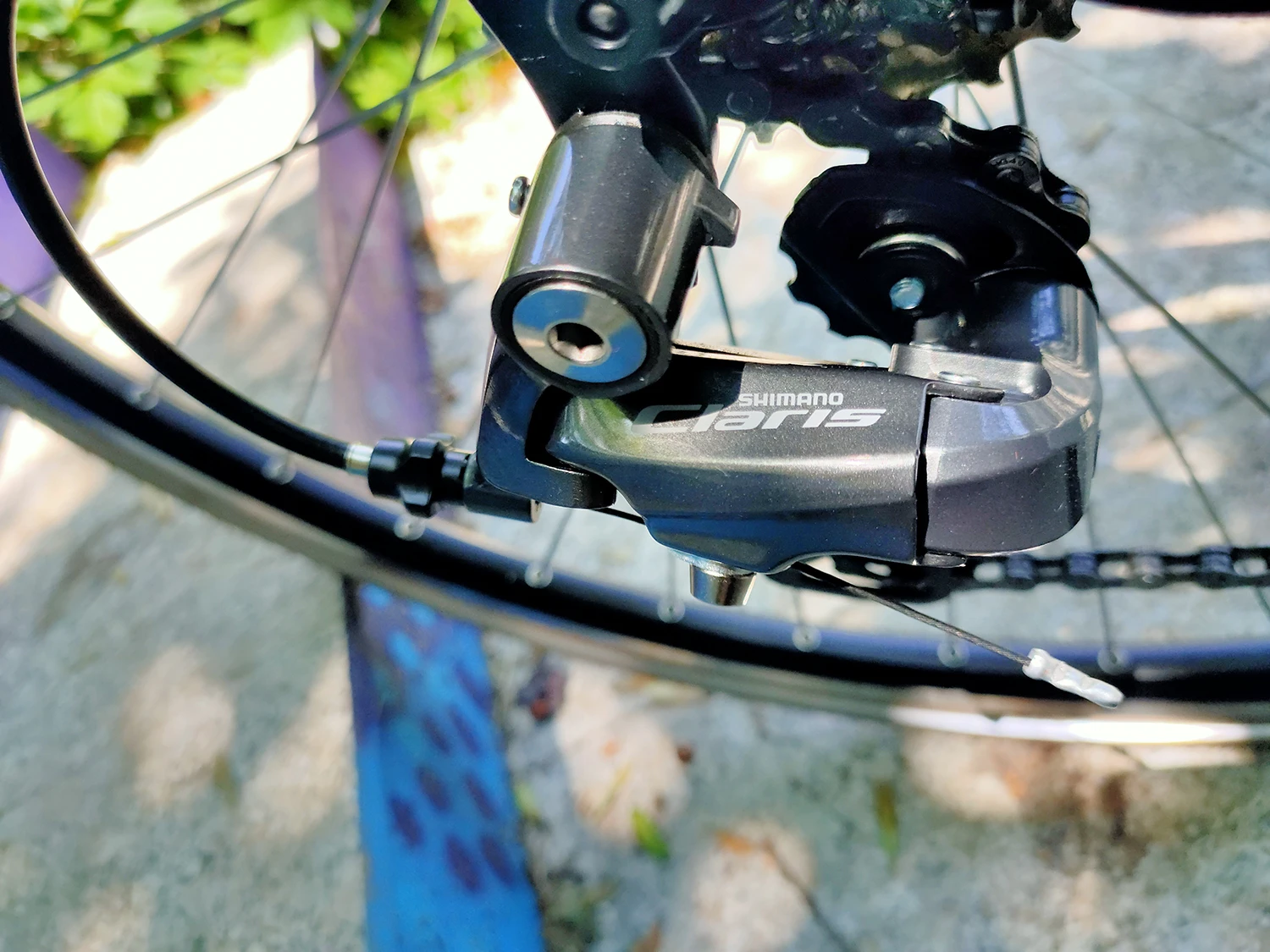 1. Cursieră Neuzer - Altrix Courier