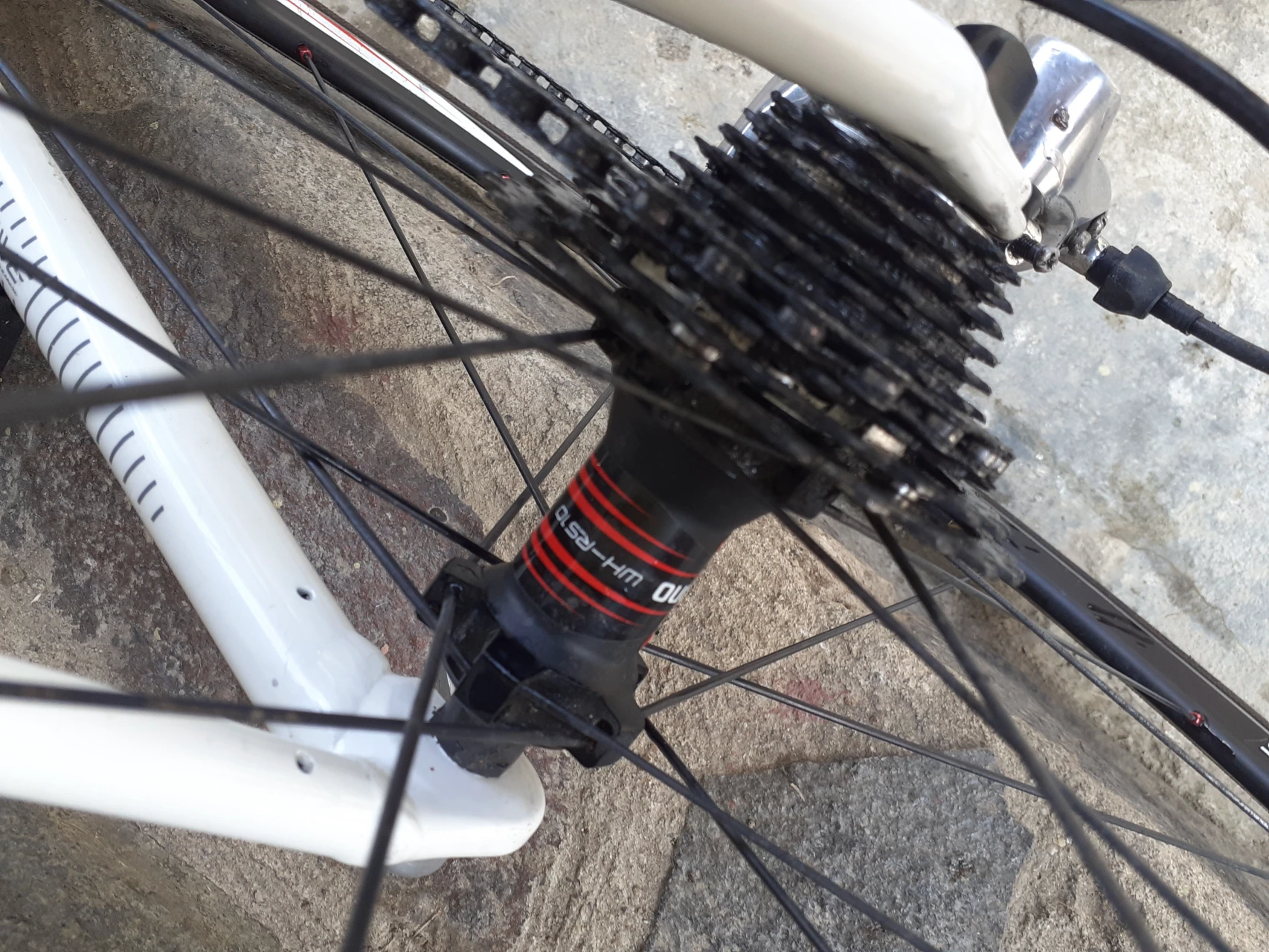 1. Cursiera Cannondale Synapse
