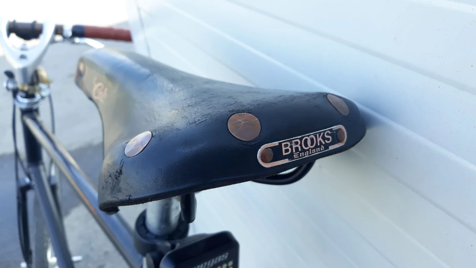 1. Sa Brooks Colt