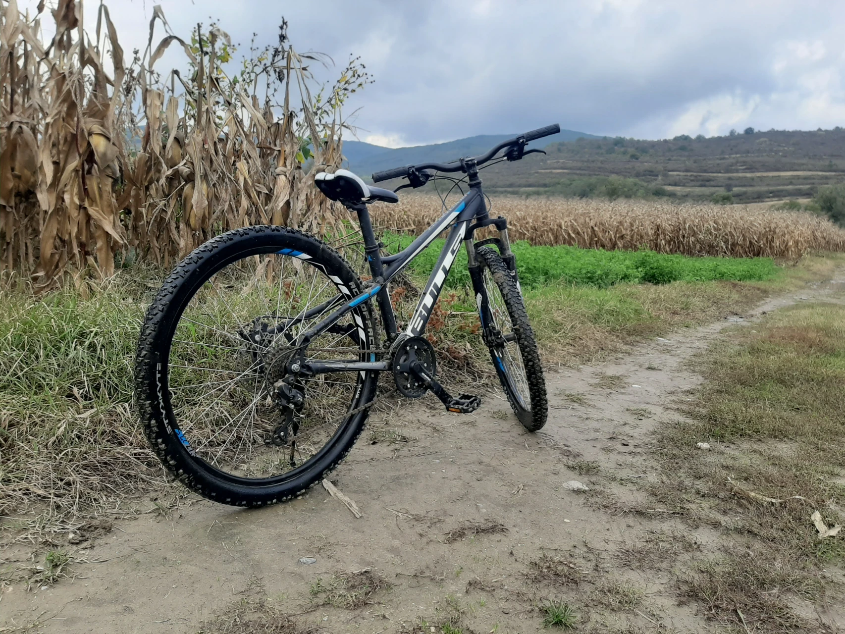 3. Bulls RAPTOR