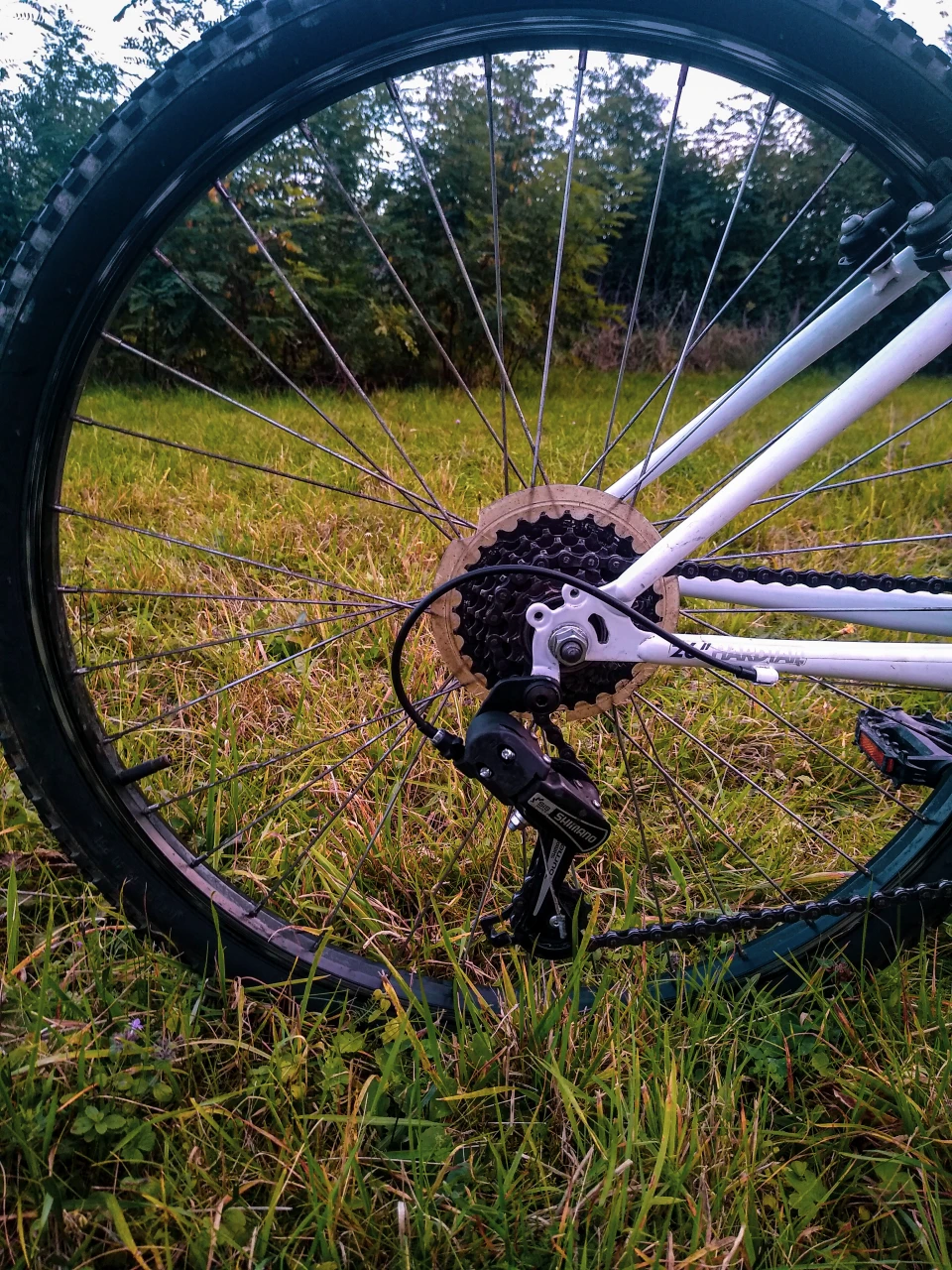2. Btwin Rockrider 300