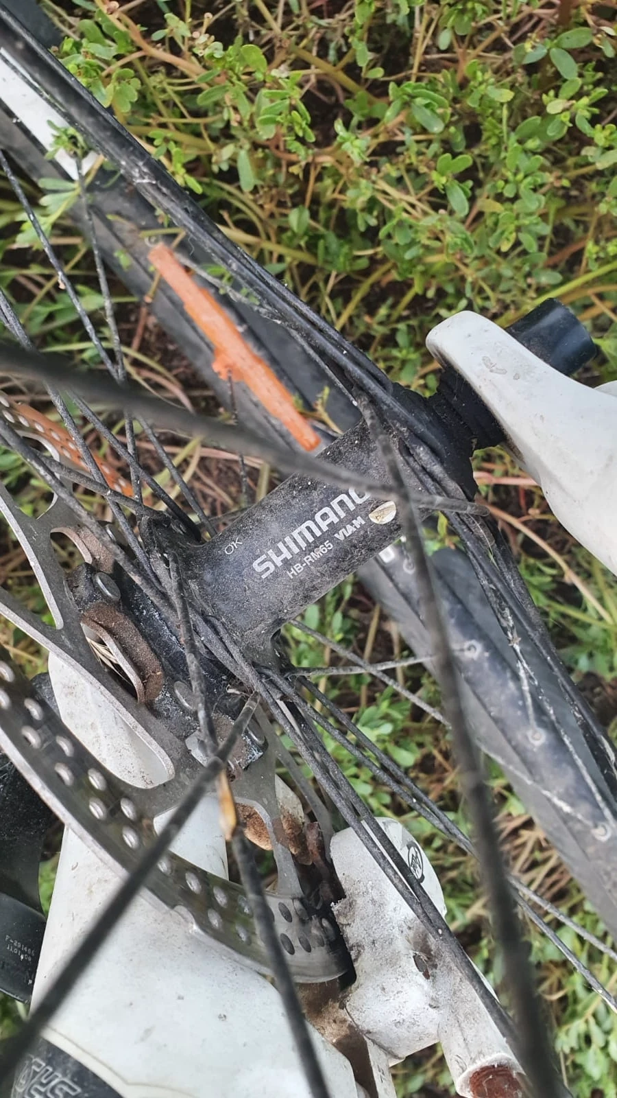 1. MTB Trek Alpha seria 6