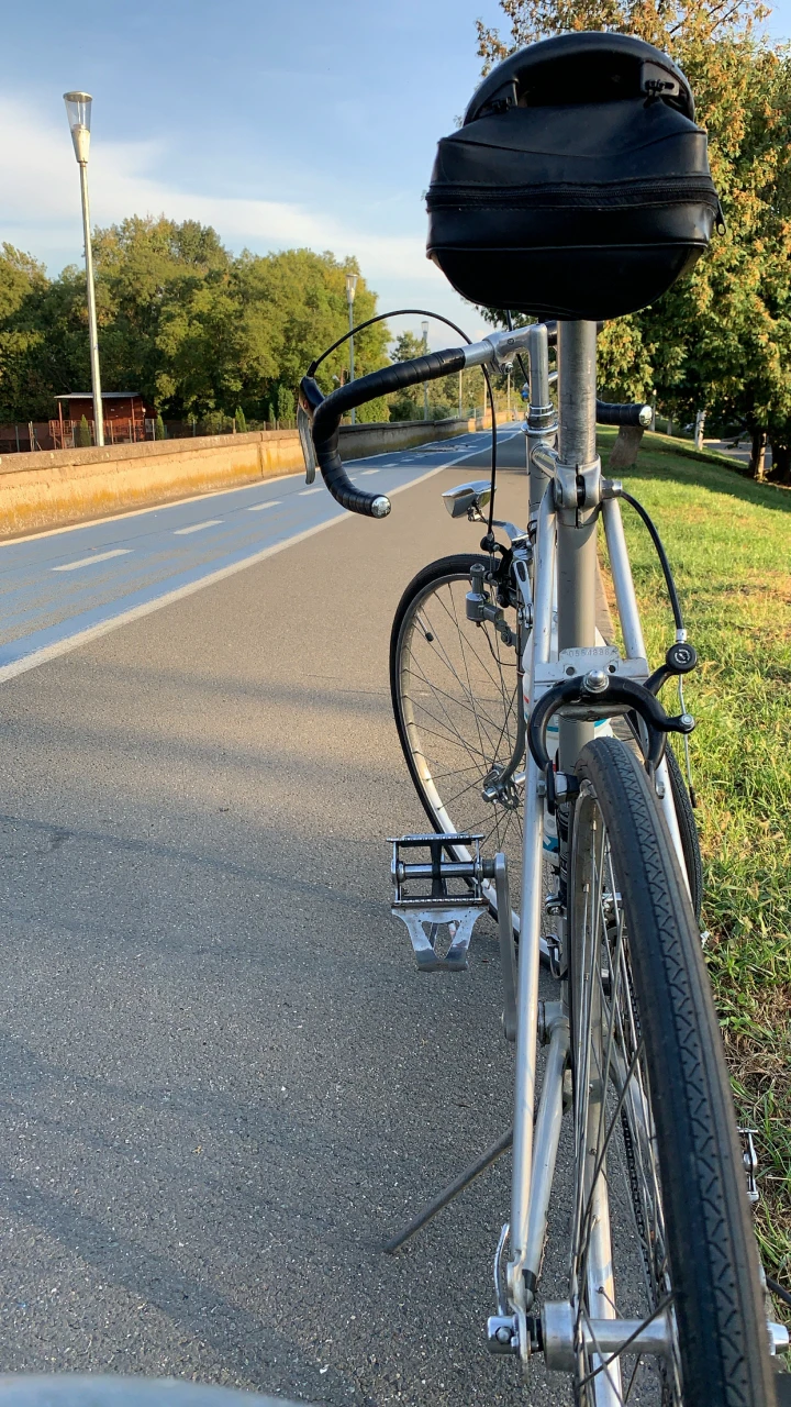 1. Batavus sprint