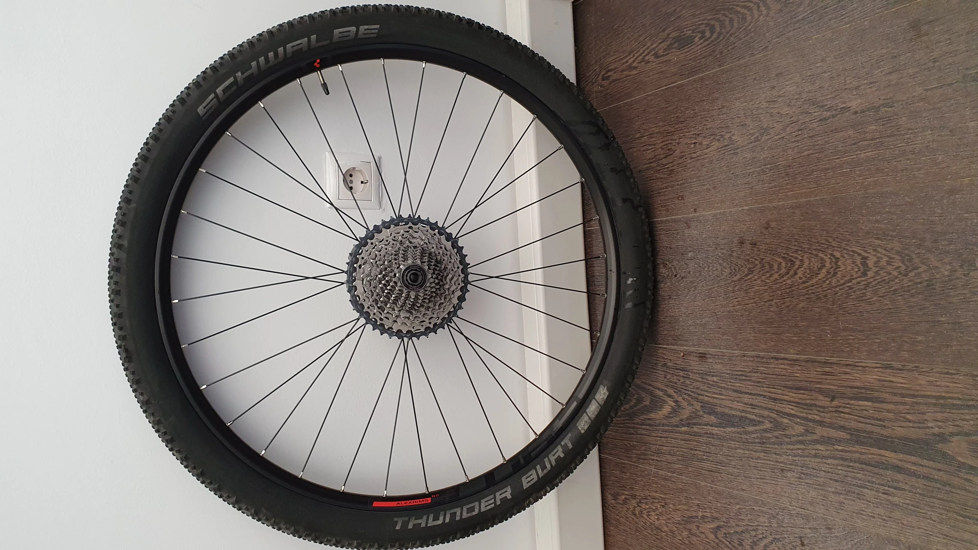 1. Alex Rims - fata MTB