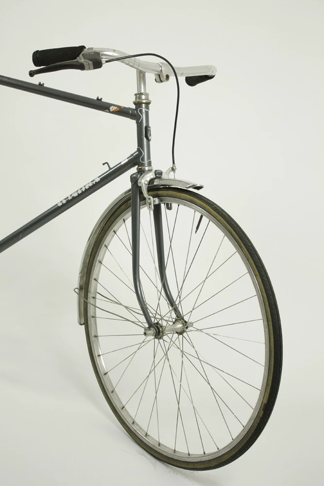 1. Bicicleta de oras Winora Reconditionata