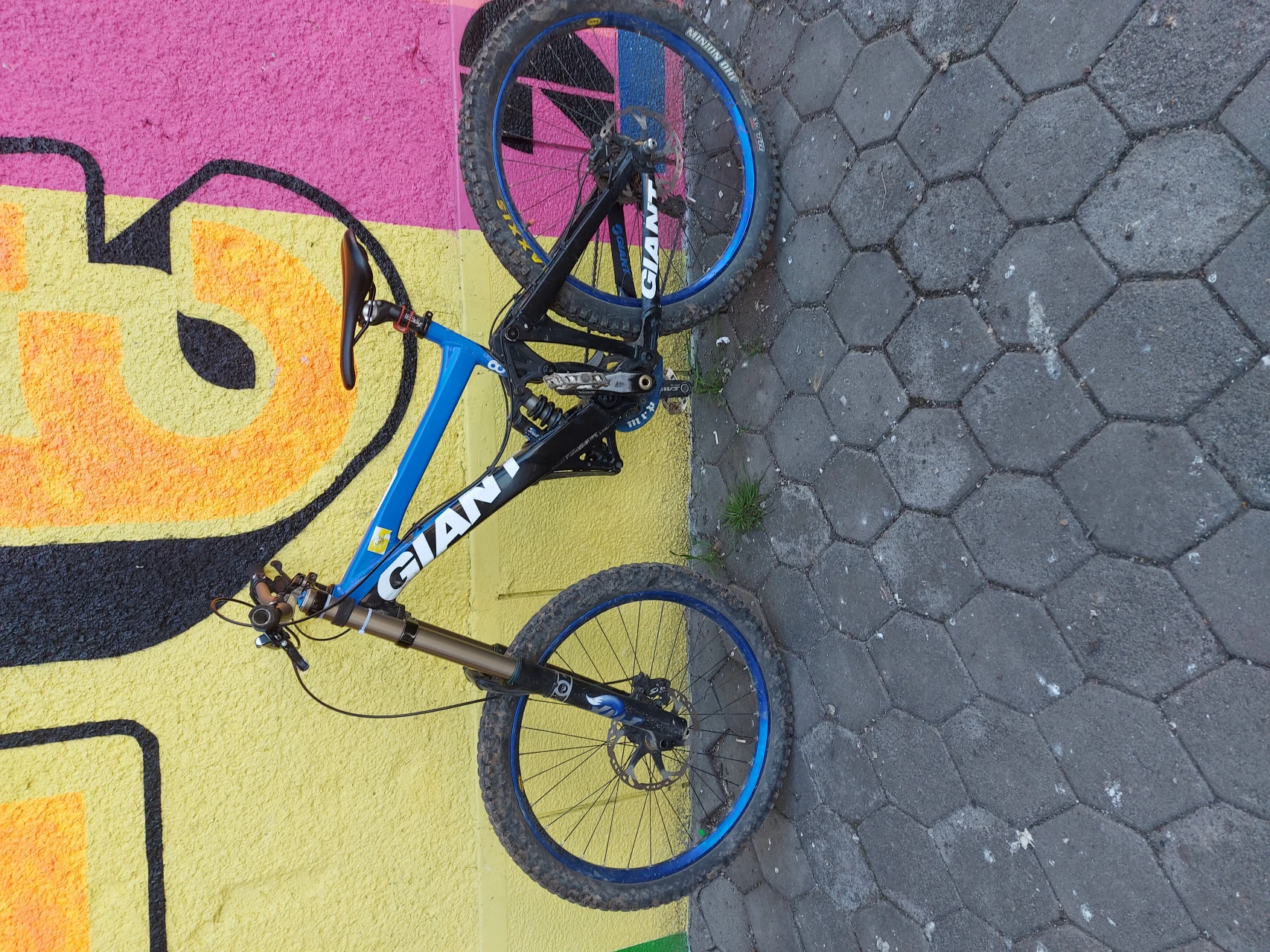 1. Bicicleta Downhill Giant Glory