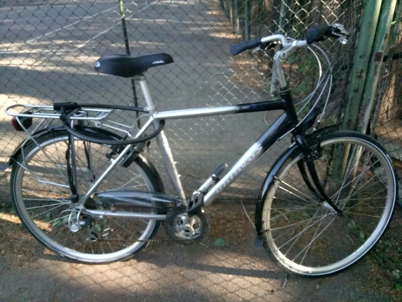 1. Batavus Alamo