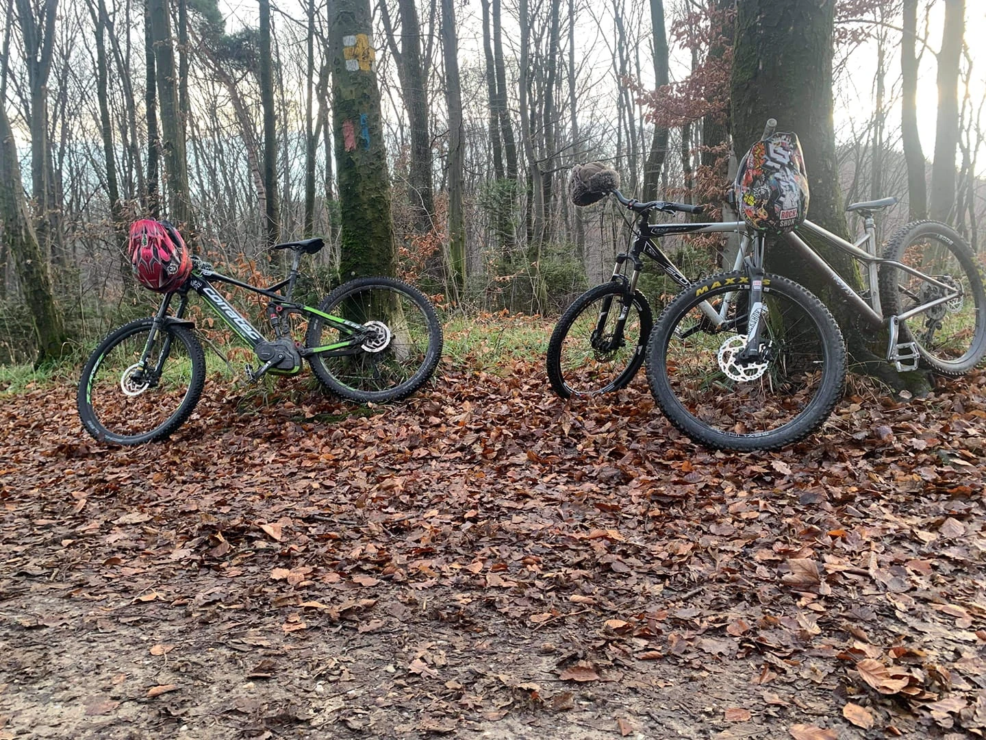 2. BIcicleta electrica
