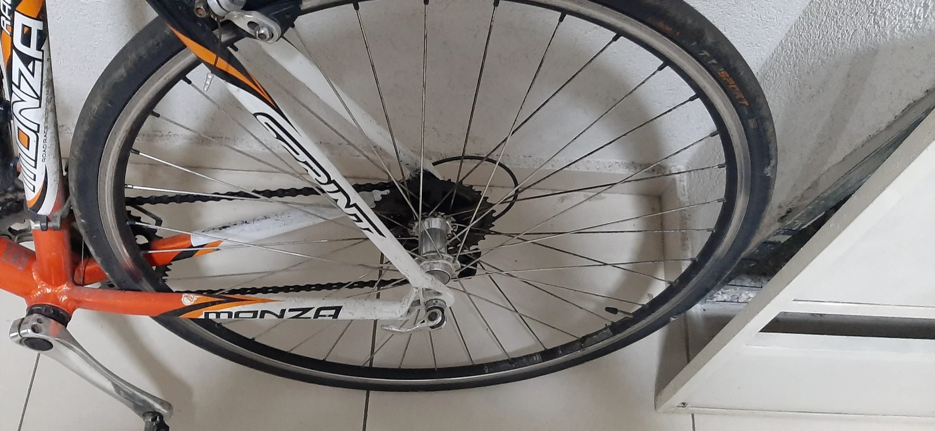 1. Bicicleta