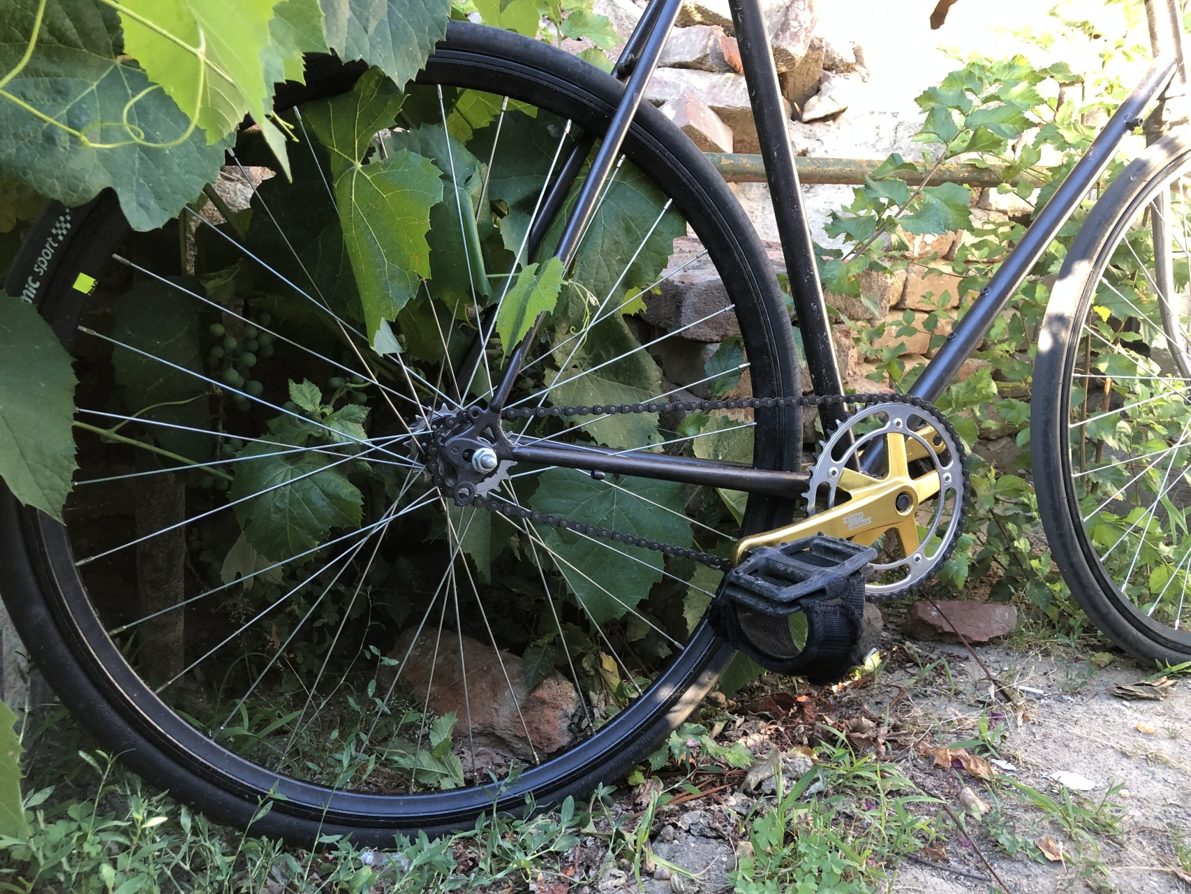1. Fixie/single sleed Peugeot Galibier
