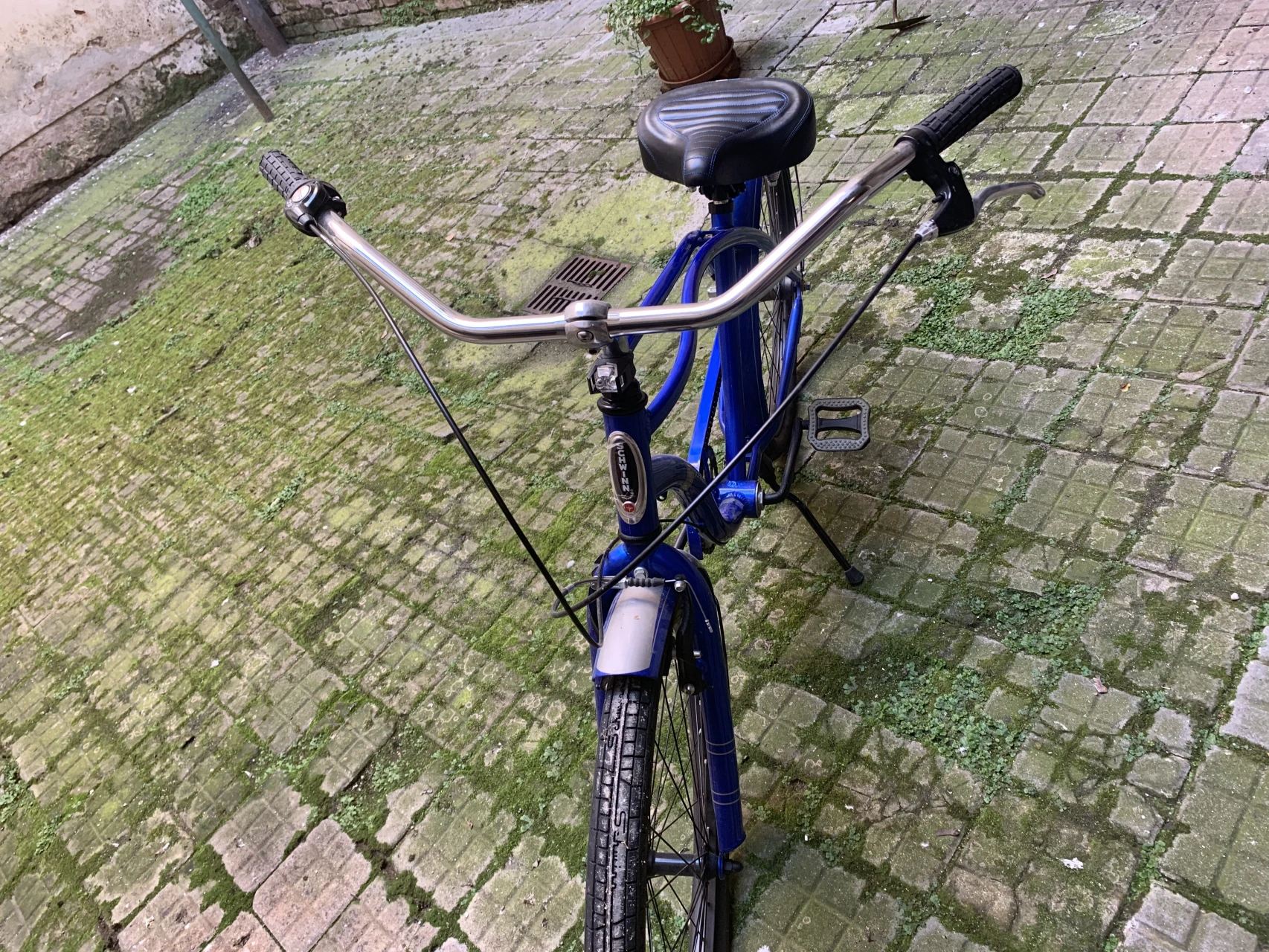 1. Cruiser Schwinn Fleet