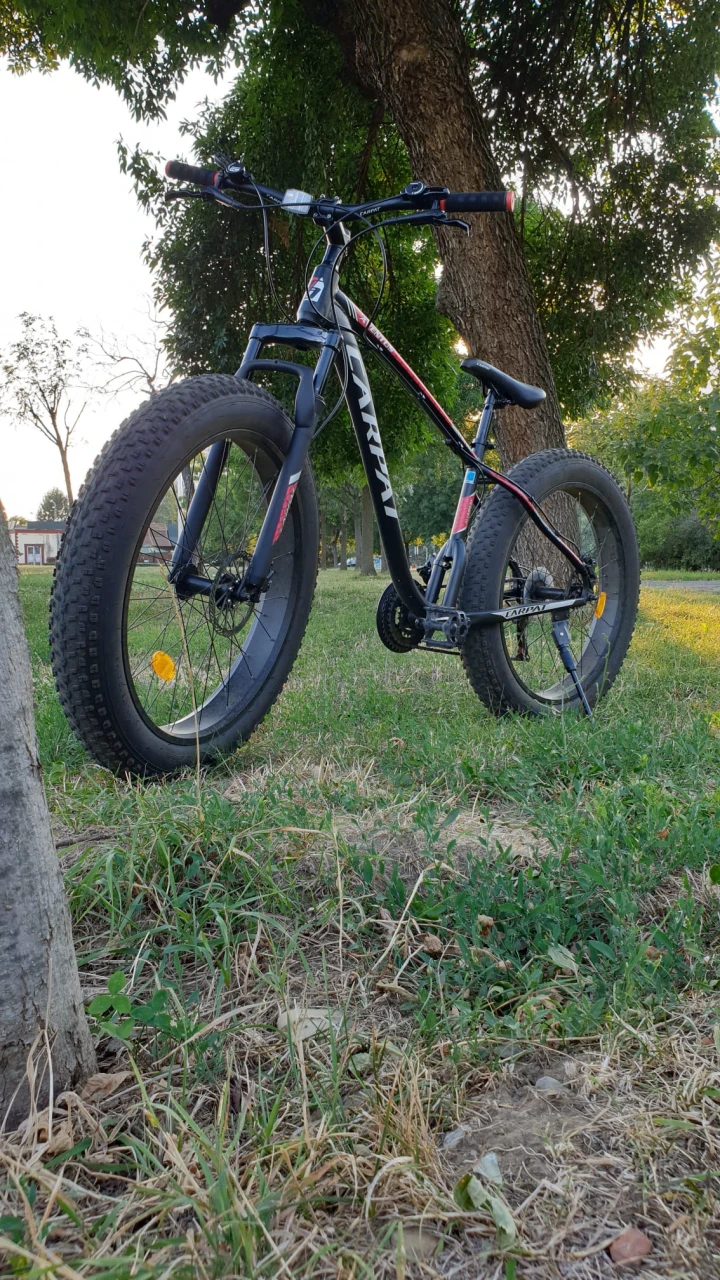 1. Fat Bike Carpet Furat OFER RECOMPENSA