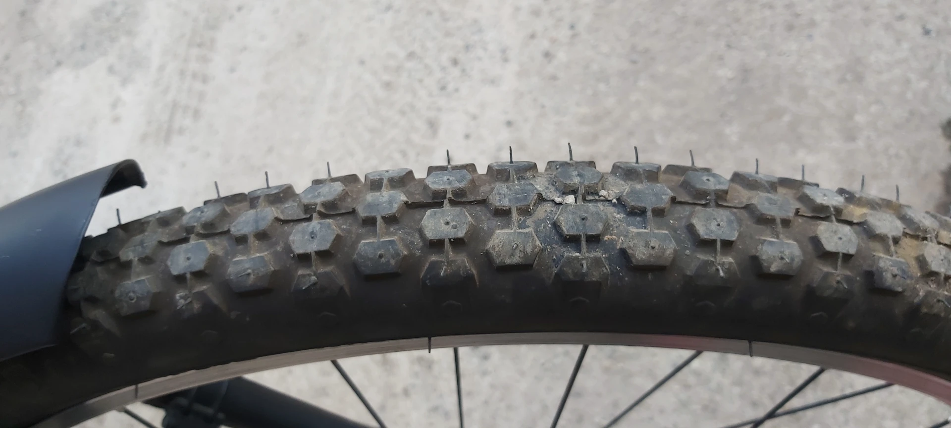 1. Pegas Strada Nou