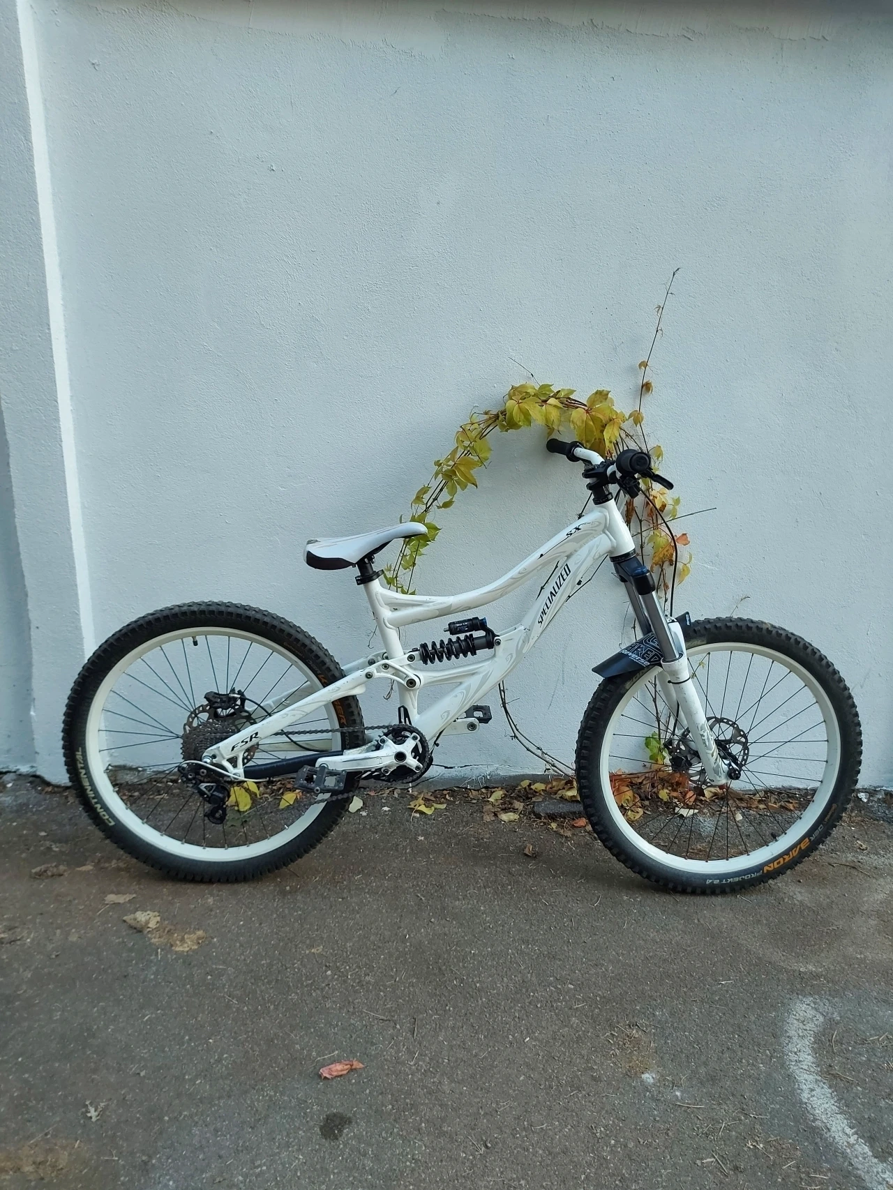 1. Specialized sx trail 1