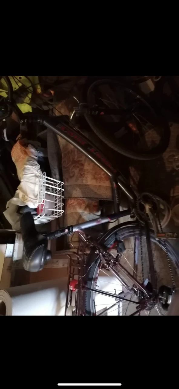 1. Bicicleta First bike