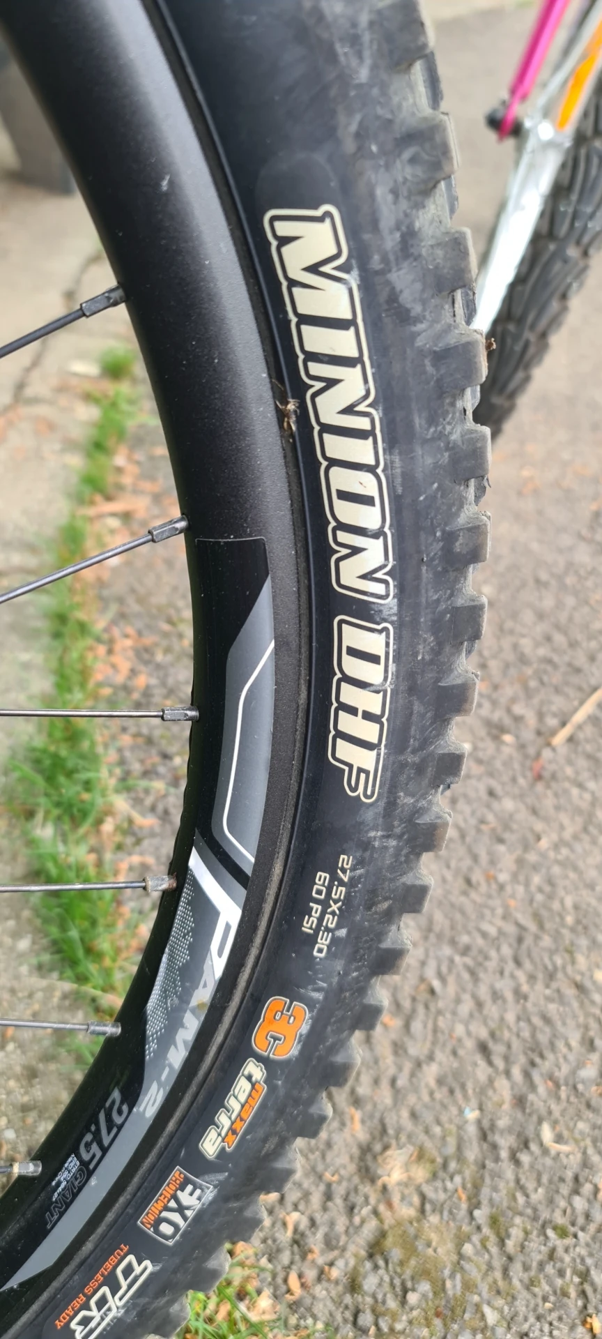 1. Giant Reign 1.5 ltd