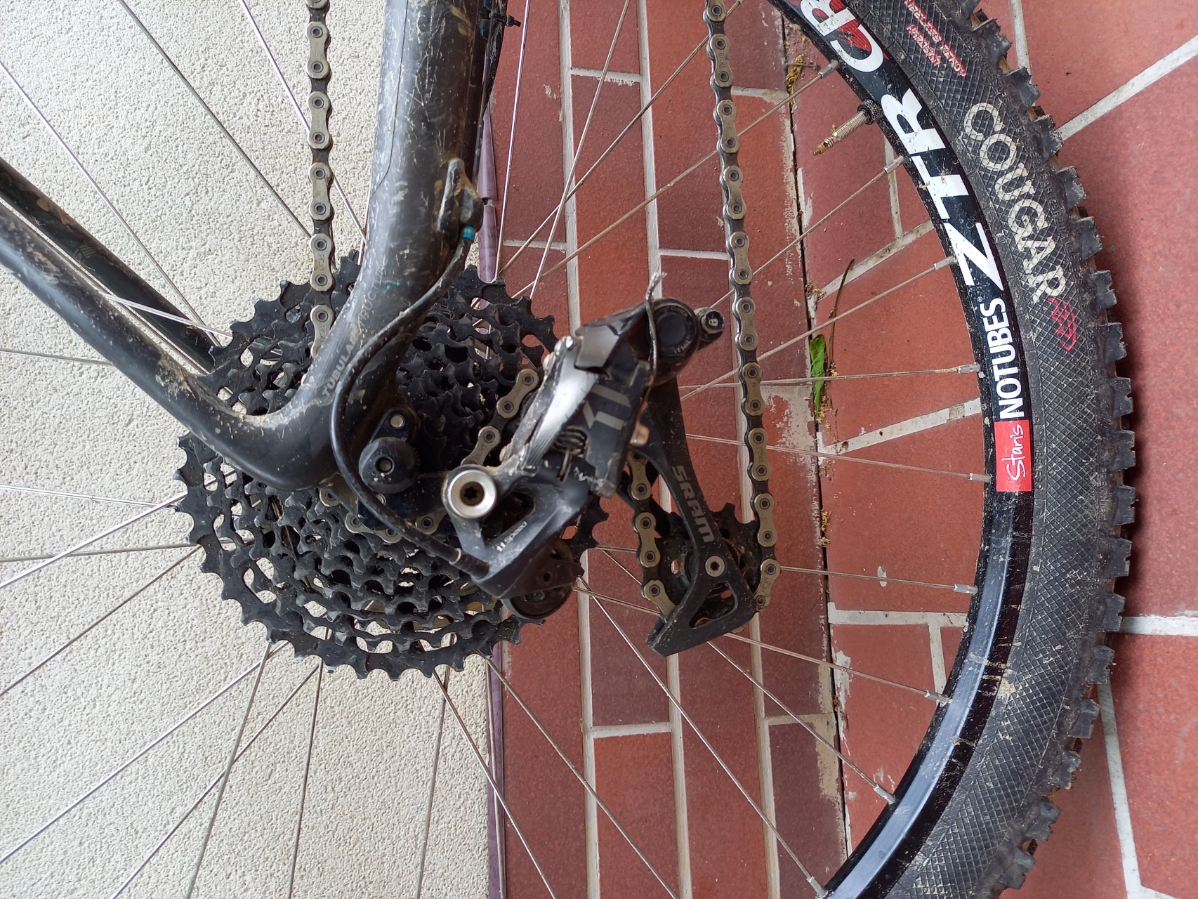 1. Scott scale SL X01