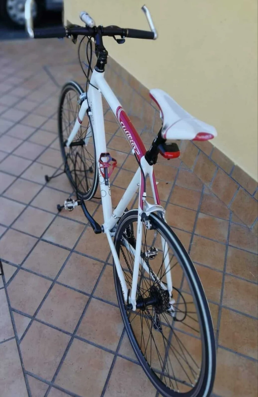1. Vand Bicicleta / Cursiera Wilier Asolo