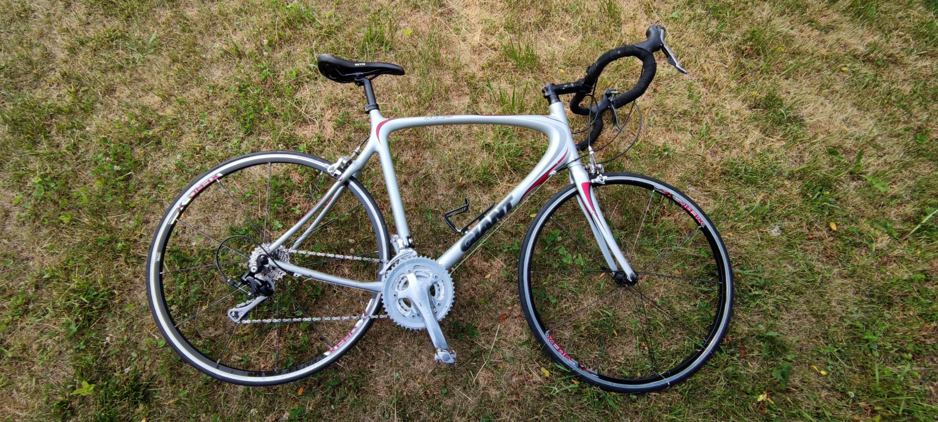1. Giant CARBON scr `c3`