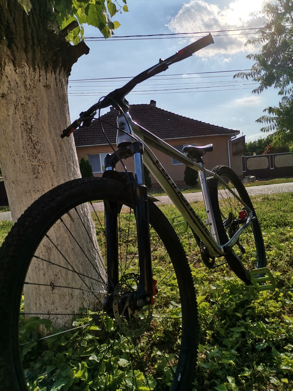 1. Vand Canonndale Trail 6 2019